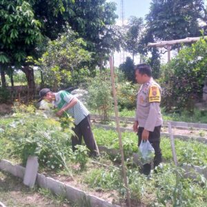 Sinergi Polri dan Petani Dusun Tegal Wujudkan Kemandirian Pangan Desa Jagaraga