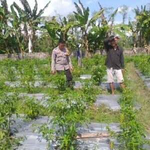 Polri Ajak Petani Jagaraga Maksimalkan Pekarangan untuk Ketahanan Pangan