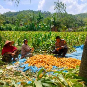 Polri Dorong Program Ketahanan Pangan di Desa Eyat Mayang, Lombok Barat
