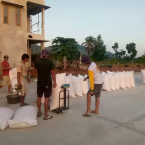 Polsek Labuapi dan Kuripan Dampingi Petani Jagung di Gerung Jual ke Bulog NTB