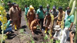Bupati Dompu Pimpin Penanaman Mangrove di Pantai Nanga Na’e, Polri dan Masyarakat Siap Rawat Bersama