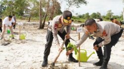 Hijaukan Negeri Laskar Pelangi, Kapolda Babel Tanam Pohon di Belitung Timur