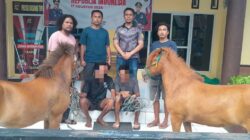 Misteri Hilangnya Sepasang Kuda Terungkap, Dua Pria Pencurinya Sukses Dibekuk Tim Opsnal Polsek Rastim