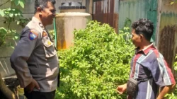 Bhabinkamtibmas Batulayar Dorong Warga Manfaatkan Lahan untuk Ketahanan Pangan