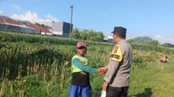 Bhabinkamtibmas Dampingi Kadis Pertanian Tinjau Irigasi di Ombe Baru