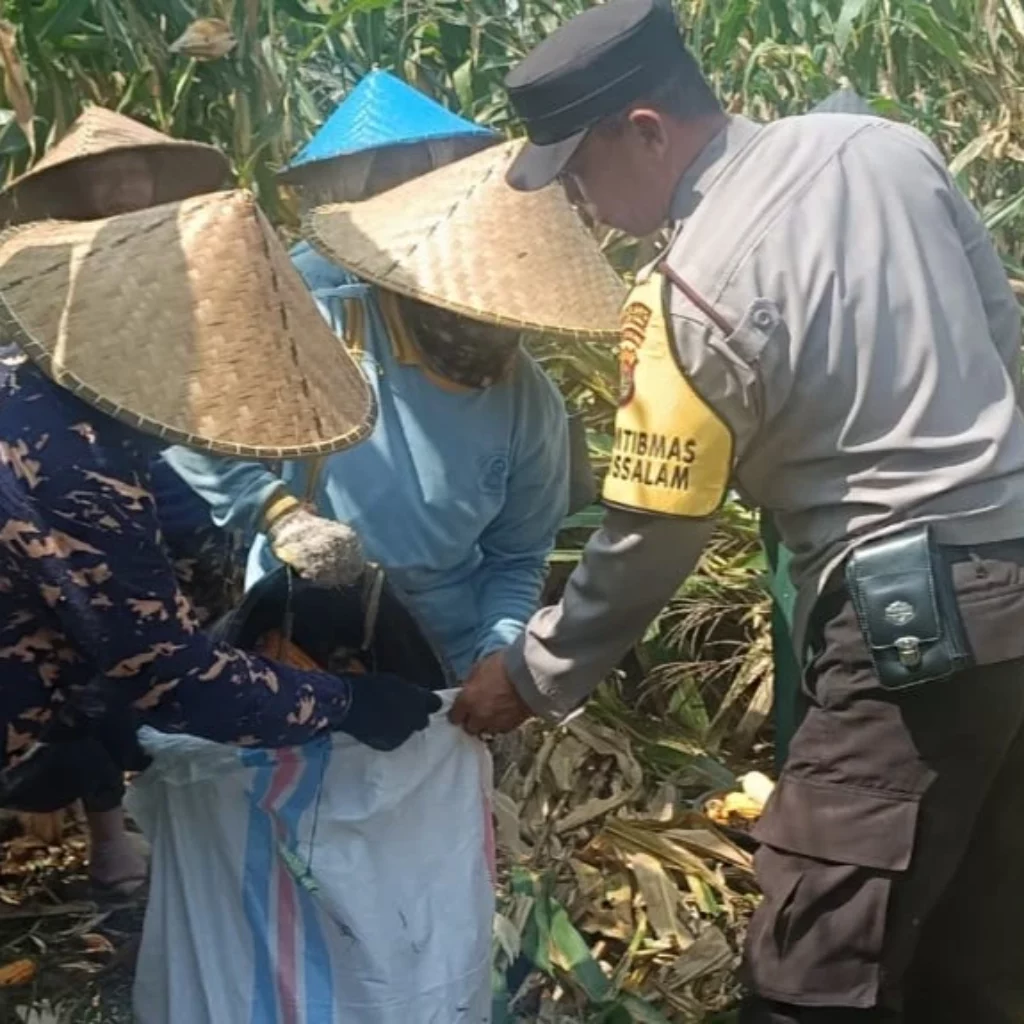 Polres Lombok Barat Kawal Stabilitas Harga Beras untuk Lindungi Warga