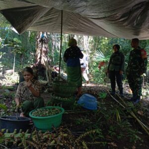 Kolaborasi Babinsa dan Kehutanan Jaga Kelestarian Hutan Batulayar