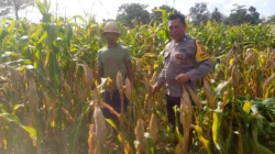 Bhabinkamtibmas Kuripan Dorong Petani Jagaraga Wujudkan Ketahanan Pangan