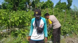 Bhabinkamtibmas Jagaraga Dorong Petani Manfaatkan Lahan Produktif