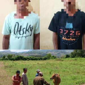 Polsek Lunyuk Berhasil Mengamankan Dua Terduga Pelaku Pencurian Hewan Ternak