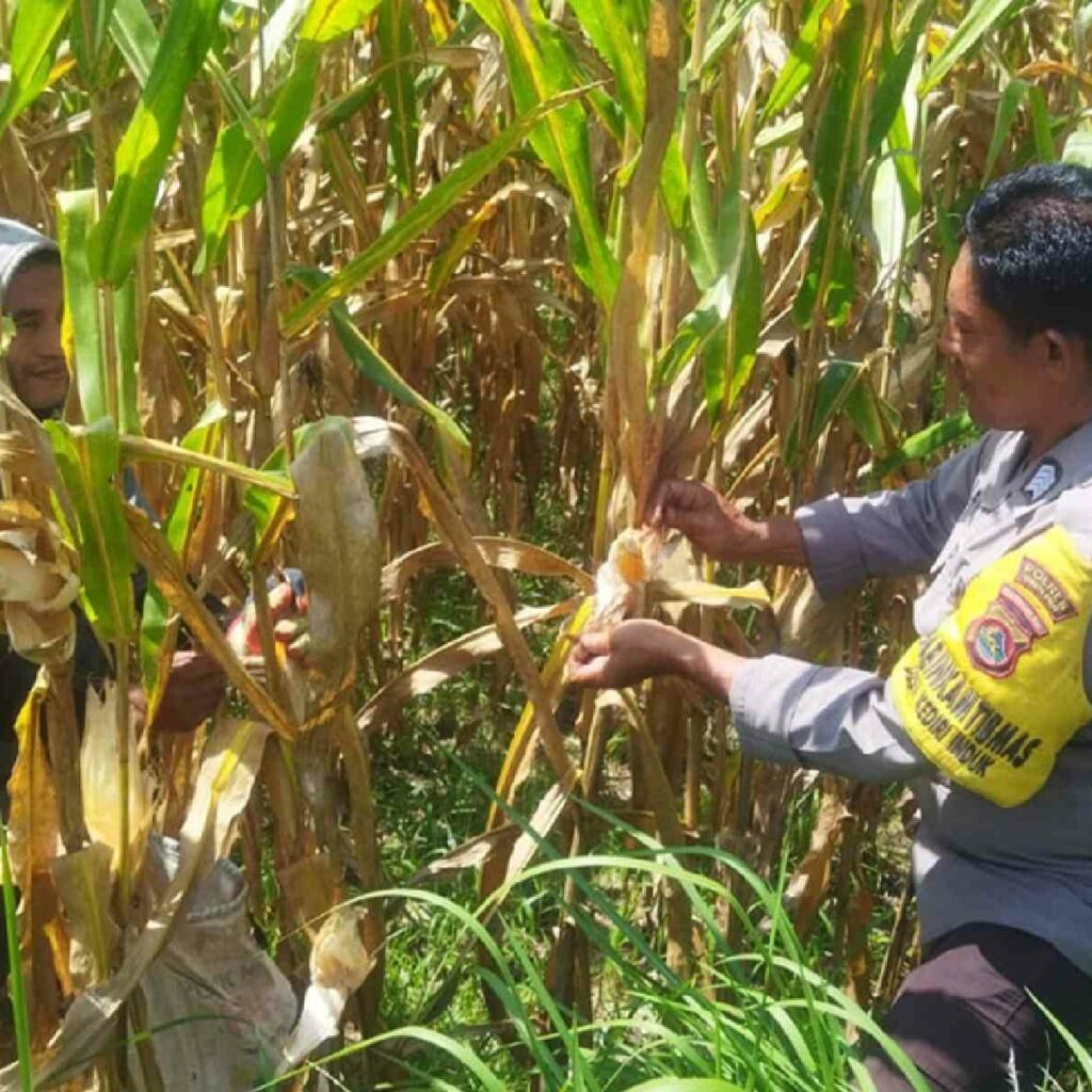 Jaga Stabilitas Pangan, Polri Edukasi Pemanfaatan Lahan