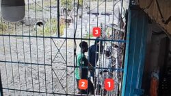 Satgas Ops Damai Cartenz Selidiki Kasus Penikaman Warga Pendatang di Dekai, Yahukimo