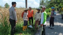 Pantai Senggigi Kondusif Berkat Patroli Rutin Sat Polairud Polres Lobar