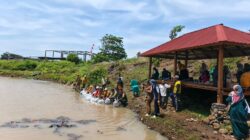 Dinas Perikanan Tebar Ribuan Benih Ikan Nila di Embung Senutuk, Warga Antusias Ikut Berpartisipasi