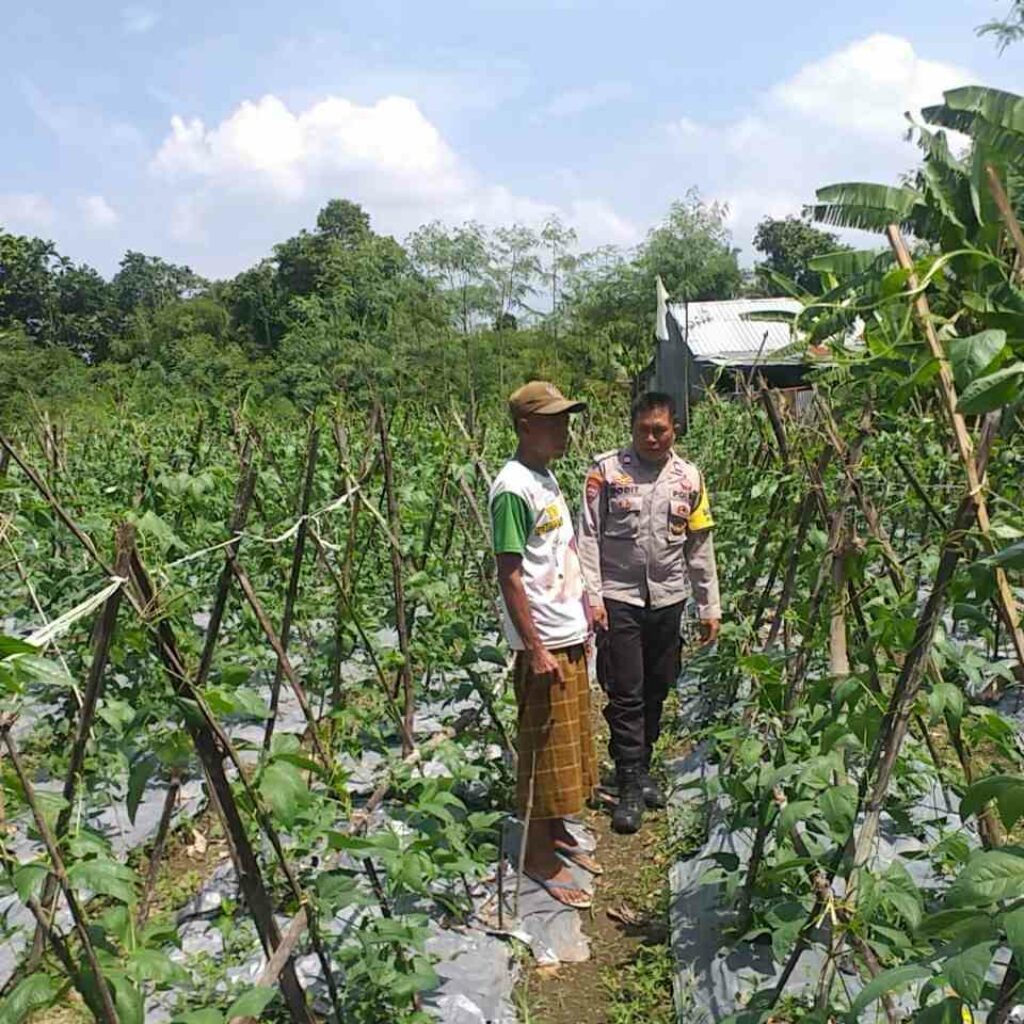 Sinergi Polri-Warga: Pekarangan Rumah Jadi Kunci Mandiri Pangan