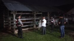 Apresiasi Warga Mengalir, Polisi Hadir di Tengah Sunyi Dini Hari Amankan Hewan Ternak