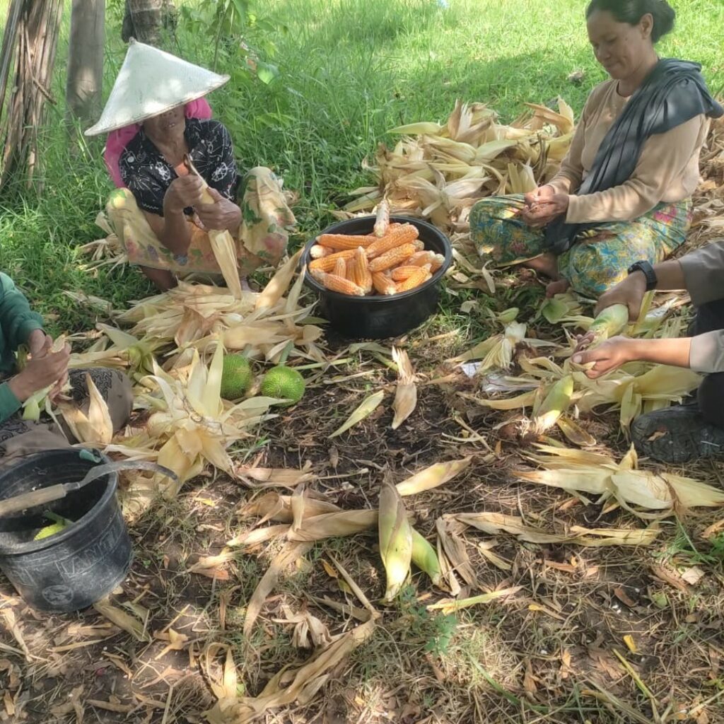 Dari Lahan Pekarangan, Polri Bangun Ketahanan Pangan di Desa