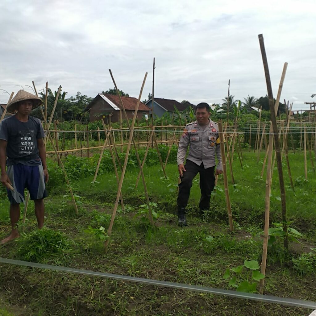 Sinergi Polri dan Petani Jagaraga Wujudkan Kemandirian Pangan