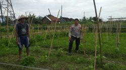 Sinergi Polri dan Petani Jagaraga Wujudkan Kemandirian Pangan