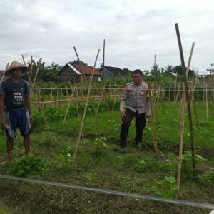 Bhabinkamtibmas Jagaraga Ajak Petani Mandiri Pangan di Lombok Barat