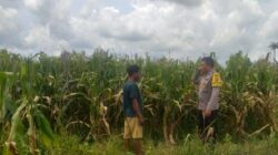 Bhabinkamtibmas Dorong Warga Jagaraga Manfaatkan Lahan Kosong