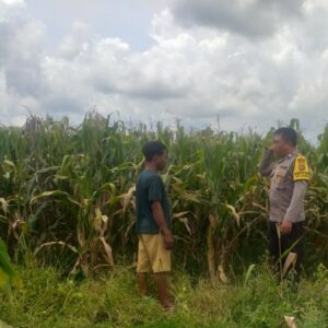 Bhabinkamtibmas Dorong Warga Jagaraga Manfaatkan Lahan Kosong