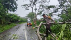 Gerak Cepat Polsek Asakota Evakuasi Pohon Tumbang yang Menutup Akses Jalan Umum di Ncai Kapenta