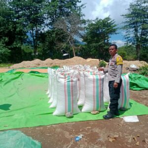 BHABINKAMTIBMAS DESA WOKO PANTAU AKTIVITAS WARGA BINAAN SAAT MENJUAL HASIL PANEN JAGUNG