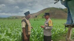 Bripka Heri Laksanakan Pemantauan Lahan untuk Perkuat Ketahanan Pangan Masyarakat