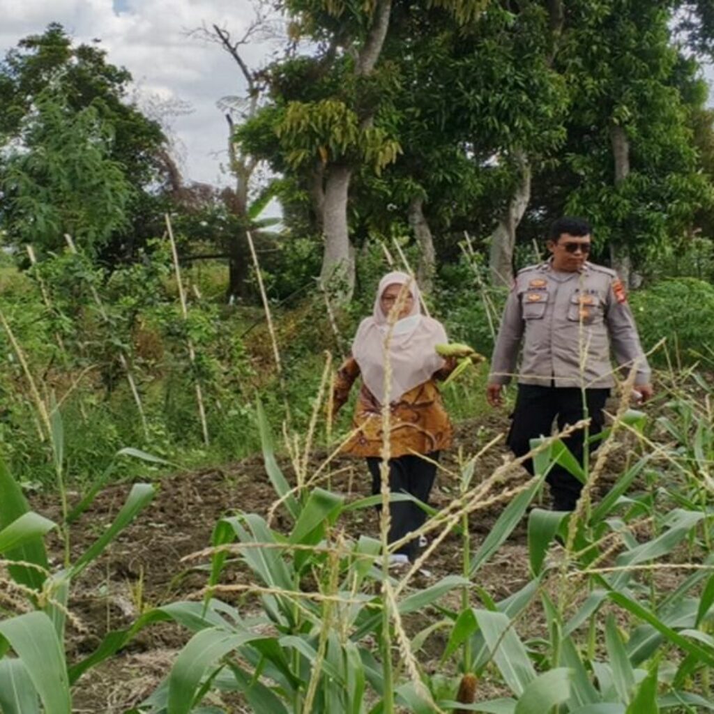 Polisi Ajak Warga Lombok Barat Wujudkan Desa Mandiri Pangan