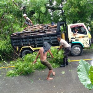 Respon Cepat Polsek Rasanae Timur, Evakuasi Pohon Tumbang dan Atur Arus Lalin di Mangge Pambu