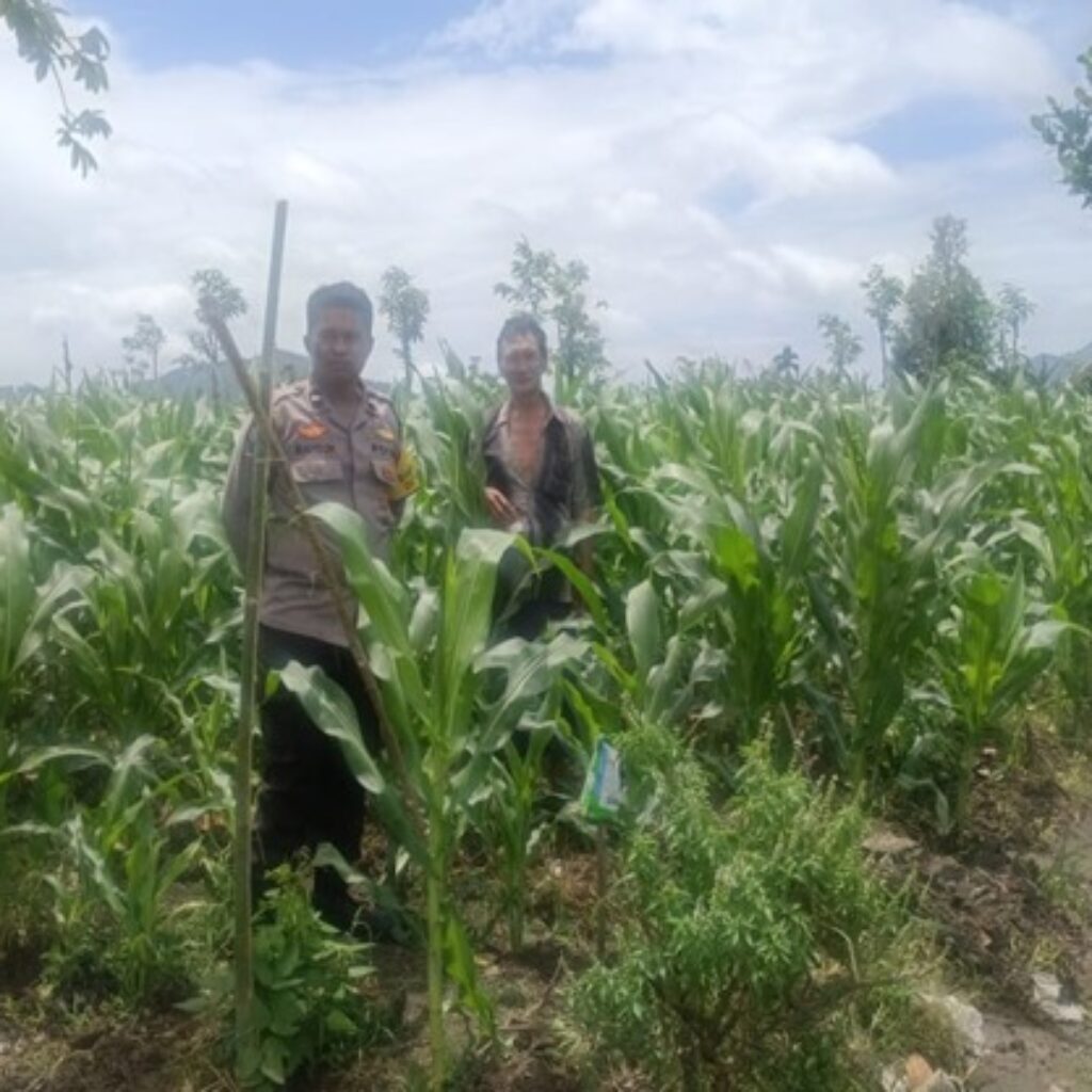 Sukseskan Tanam Padi, Polri Dampingi Petani di Lombok Barat