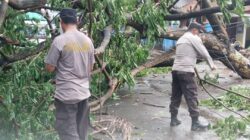 Polres Bima Kota Respon Cepat Bersihkan Pohon Tumbang di Seputar Gudang Bulog Jatiwangi dan Kelurahan Sarae