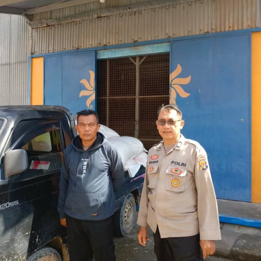 Sukses Panen: 25 Karung Jagung Petani Lombok Barat Terserap Bulog