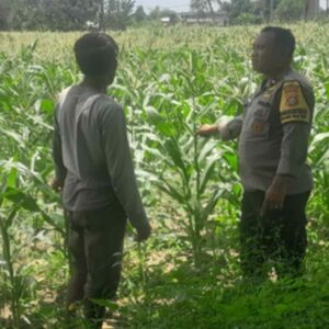 Bhabinkamtibmas Bagik Polak Barat Kawal Ketahanan Pangan