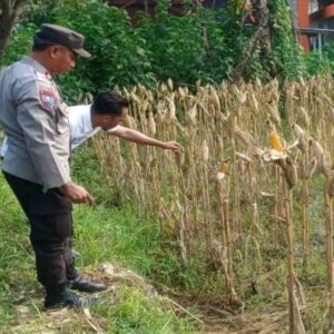 Polres Lombok Barat Kawal Ketahanan Pangan di Kebon Ayu