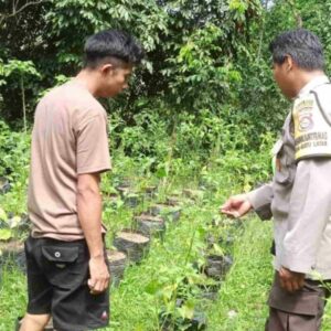 Polsek Batulayar Perkuat Ketahanan Pangan di Lombok Barat