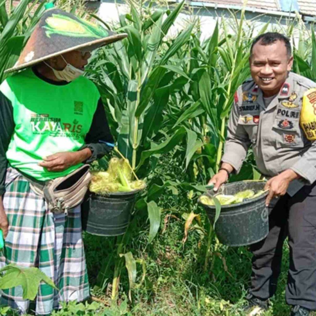 Strategi Polsek Labuapi Wujudkan Kemandirian Pangan
