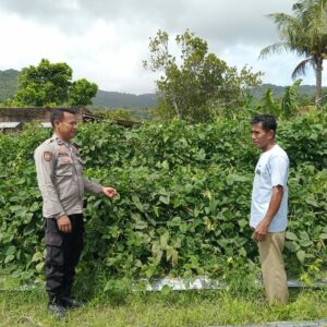 Bhabinkamtibmas Desa Tatar Dampingi Warga Kelola Pekarangan Pangan Bergizi