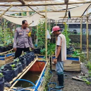 Polisi di Lombok Barat Sulap Pekarangan Warga Jadi Sumber Pangan