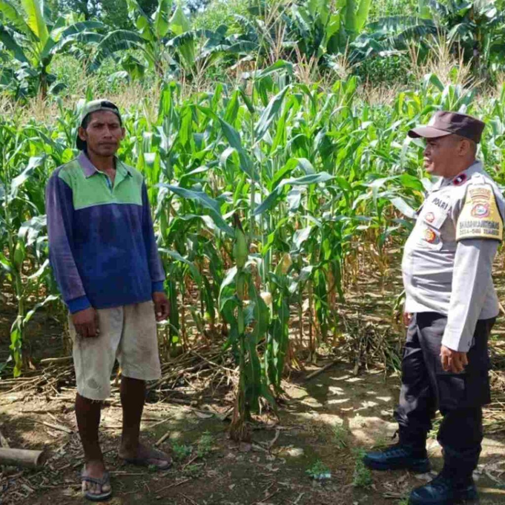 Polsek Gerung Dorong Pemanfaatan Lahan Pekarangan di Giri Tembesi