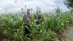 Polsek Gerung Ajak Warga Beleke Optimalkan Lahan Tidur demi Swasembada Pangan