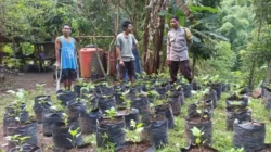 Upaya Desa Batulayar Wujudkan Kemandirian Pangan Lewat Greenhouse