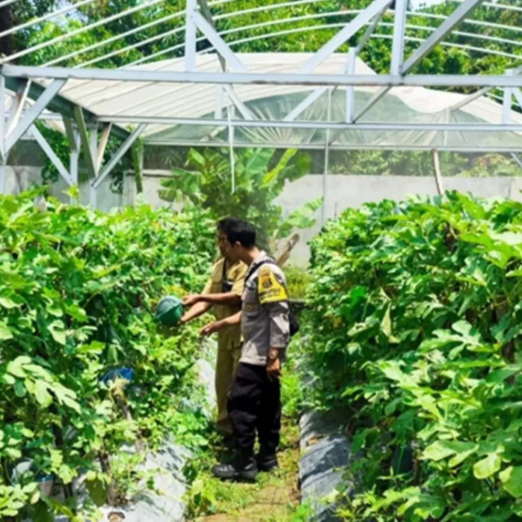 Inovasi Greenhouse Desa Bengkel: Solusi Pangan di Lahan Terbatas