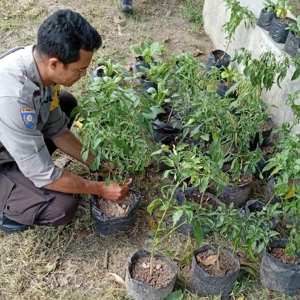 Sinergi Polri dan Warga Bengkel Kelola Lahan Produktif