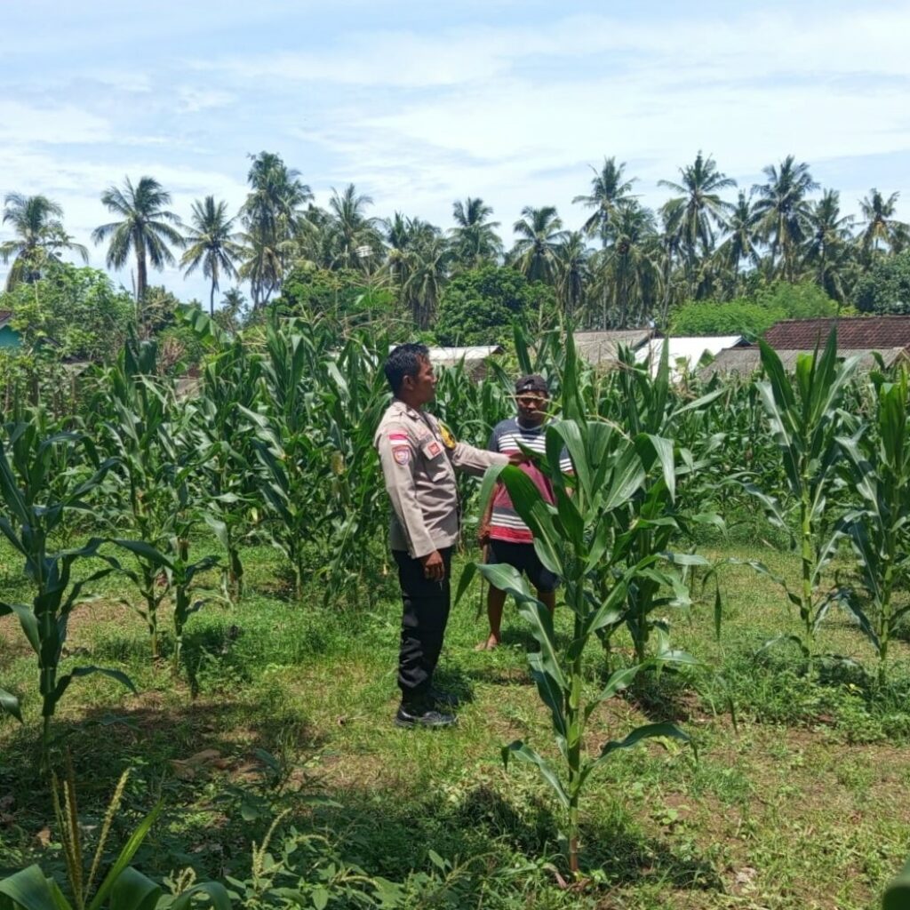 Polri Motivasi Petani Sekotong Barat Optimalkan Lahan Pertanian