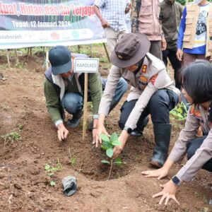 Wujud Sinergitas, Kapolres dan Bupati Sumbawa Tanam Seribu Arabika demi Kelestarian Batulanteh