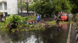 Pohon Tumbang, Babinsa Kodim 1606 Bergerak Cepat