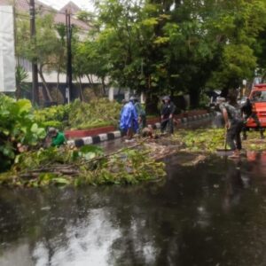 Pohon Tumbang, Babinsa Kodim 1606 Bergerak Cepat