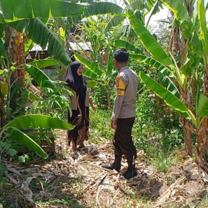 Bhabinkamtibmas Desa Pamanto Motivasi Warga Wujudkan Ketahanan Pangan Mandiri